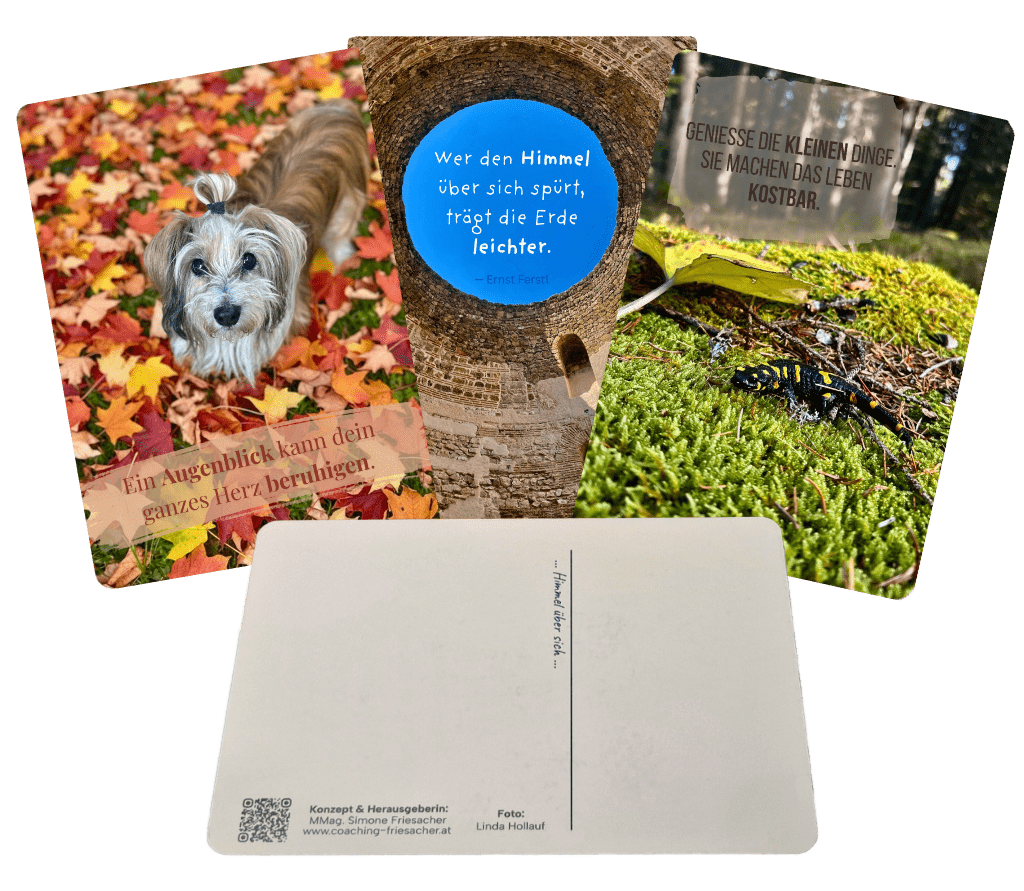 Kartenset - Sammelsurium